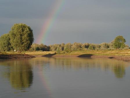 Laag water op de IJssel